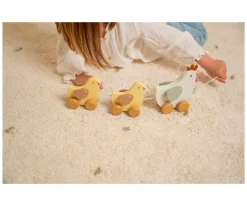 Arrastre Pollitos Little Farm FSC Niños Juguetes Para Niños De 18 Meses|Juguetes Para Niños De Un Año