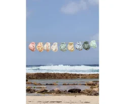 Bañadores Pañal^Lassig Bañador Pañal Surfboards