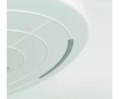 Best Bandeja Sensorial PlayTray con Compartimentos y Tapa Extraíbles Niños Otras Líneas Pedagógicas|Manualidades Para Niños