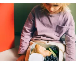 Best Caja de Almuerzo Bento Campus Grande Fairy Wonders Fiambreras Infantiles|Cajas De Almuerzo