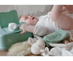 Porta Toallitas^Funkybox Caja Toallitas Menta Hojas