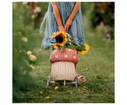 Online Carrito Ratán Mushroom Luggy Mask Niños Juguetes Niños 3 Años|Juguetes Niños 4 Años