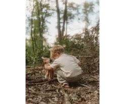 Sale Peluche Zorro Grande Forest Friends Niños Juguetes Para Recién Nacidos|Juguetes Bebé 6 Meses