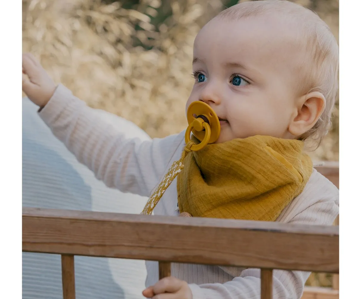 Secababitas^BIBS Secababitas Mustard