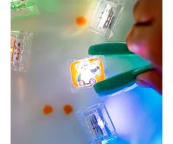 New Set de Cubos Sensoriales Lumoinosos Party Zoo Niños Juguetes Niños 4 Años|Juguetes De Baño